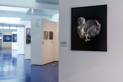 Agrandir l'image 4 sur 6, fenêtre modale