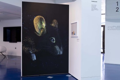 Agrandir l'image 6 sur 6, fenêtre modale