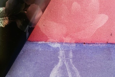 Agrandir l'image 6 sur 6, fenêtre modale