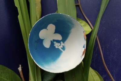 Agrandir l'image 5 sur 6, fenêtre modale