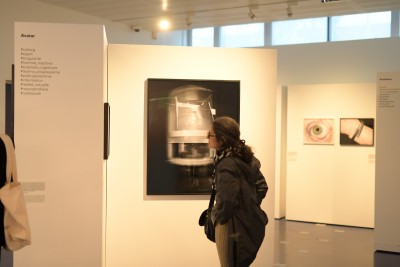 Agrandir l'image 1 sur 6, fenêtre modale