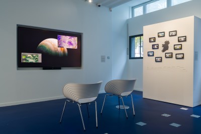 Agrandir l'image 1 sur 3, fenêtre modale