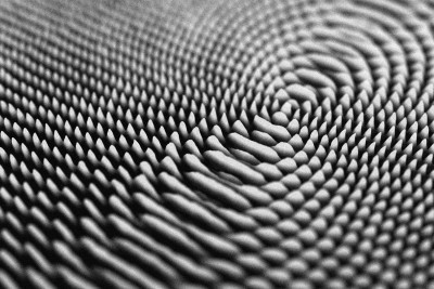 Agrandir l'image 1 sur 4, fenêtre modale