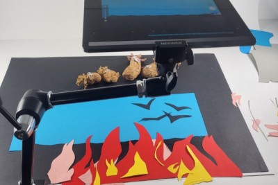 Agrandir l'image 3 sur 3, fenêtre modale