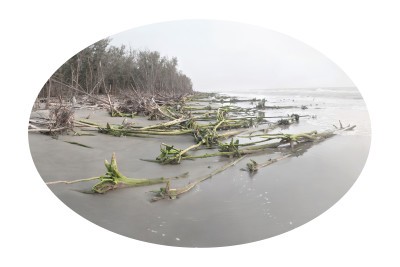 Agrandir l'image 6 sur 6, fenêtre modale