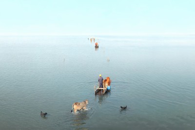 Agrandir l'image 3 sur 6, fenêtre modale