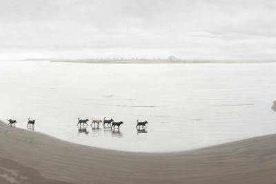 Agrandir l'image 4 sur 6, fenêtre modale